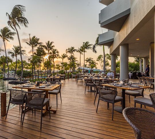 Dining & Drinks | Hilton Aruba Caribbean Resort & Casino Beach Hotel